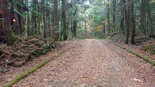 detached 山梨県南都留郡鳴沢村－