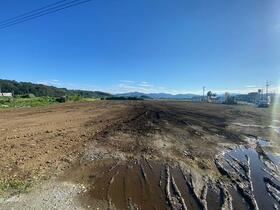 埼玉県本庄市児玉町吉田林