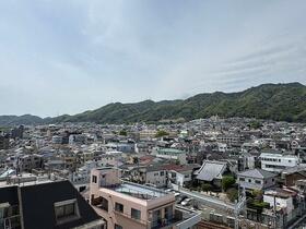 兵庫県神戸市灘区中原通１丁目