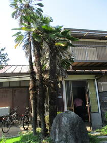 茨城県取手市中原町