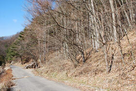 長野県佐久市内山