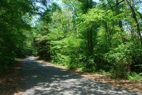 群馬県吾妻郡嬬恋村大字大前
