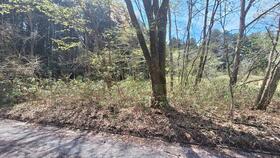 栃木県日光市板橋