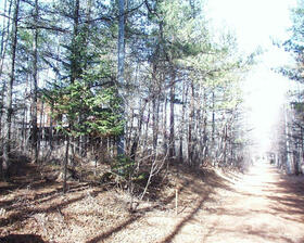 群馬県吾妻郡嬬恋村大字鎌原大カイシコ