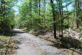 群馬県吾妻郡嬬恋村大字鎌原大カイシコ