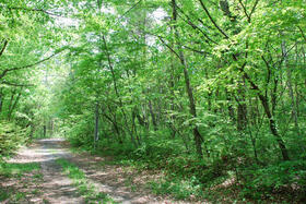 群馬県吾妻郡嬬恋村大字鎌原鬼の泉水