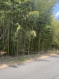 和歌山県伊都郡かつらぎ町大字中飯降
