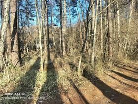 長野県諏訪郡原村上里