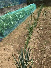 千葉県千葉市緑区下大和田町
