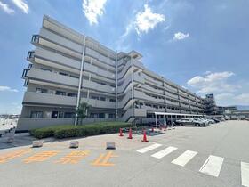 奈良県大和高田市大字根成柿