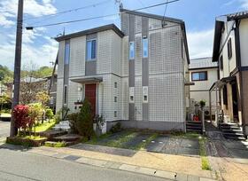 京都府舞鶴市行永桜通り