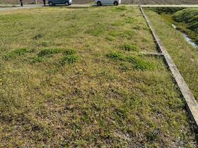 宮城県遠田郡美里町二郷字佐野六号