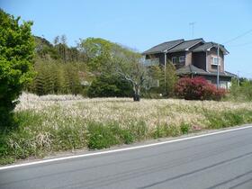 千葉県山武市蓮沼ロ