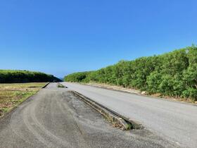 沖縄県宮古島市城辺字保良