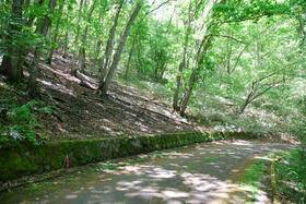長野県北佐久郡軽井沢町大字発地