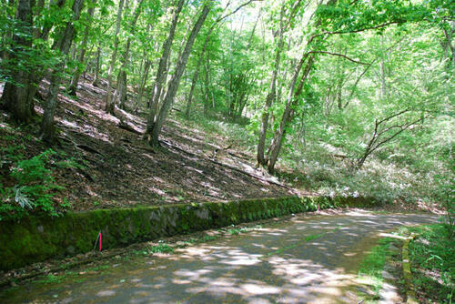 土地, 長野県 北佐久郡軽井沢町