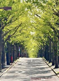 東京都大田区田園調布４丁目