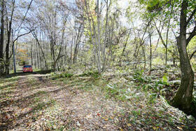 群馬県吾妻郡嬬恋村大字鎌原鬼の泉水