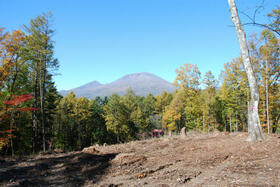 長野県北佐久郡軽井沢町大字長倉鶴溜