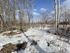 北海道千歳市根志越