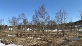 北海道虻田郡真狩村字桜川