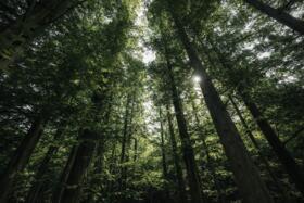 福岡県福岡市南区柏原１丁目