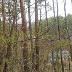 長野県諏訪郡富士見町立沢広原