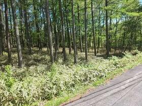 長野県諏訪郡富士見町境広原