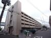 東部市場マンション Ｃ棟の賃貸物件