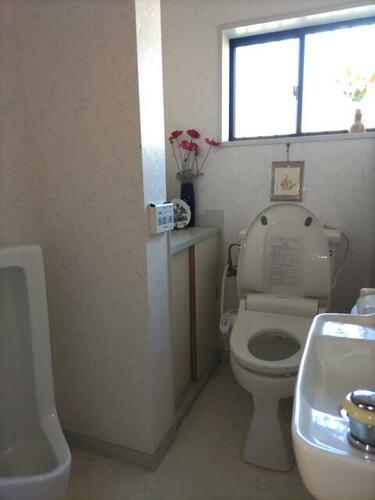 Image 12