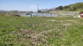 長野県中野市大字安源寺