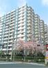 北砂四丁目住宅 12階 築53年11ヶ月の賃貸物件