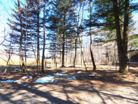 長野県北佐久郡軽井沢町大字発地