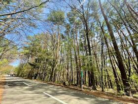 山梨県北杜市大泉町谷戸