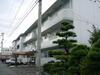  築36年4ヶ月 3階建の賃貸物件