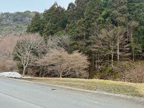 京都府京都市右京区京北灰屋町塩野