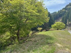 京都府京都市右京区京北灰屋町塩野