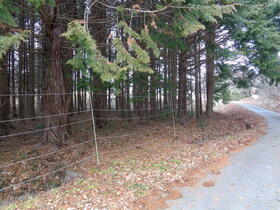 山梨県北杜市大泉町谷戸