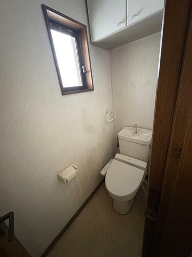 Image 19
