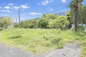 静岡県島田市島