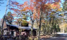 山梨県南都留郡富士河口湖町富士ヶ嶺