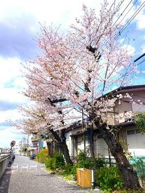 埼玉県草加市瀬崎４丁目