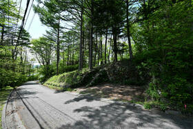 長野県北佐久郡軽井沢町大字軽井沢