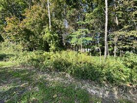 北海道帯広市川西町基線