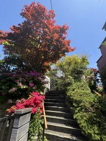 東京都町田市玉川学園８丁目