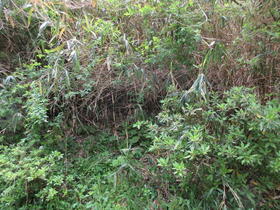 兵庫県川西市西多田字越之垣内