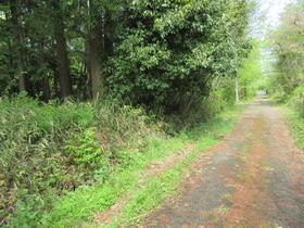 京都府船井郡京丹波町中台薮ノ外