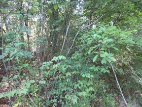 兵庫県川西市赤松字小橋越