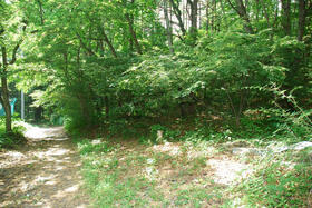 長野県北佐久郡軽井沢町大字長倉鶴溜