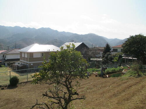 Image 22